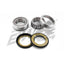 BEARING WORX - STEERING HEAD KIT HONDA (90-300-01H)