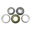 STEERING BEARING SET (90-140-06)