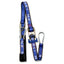 Aerofast UTV Restraint Kit