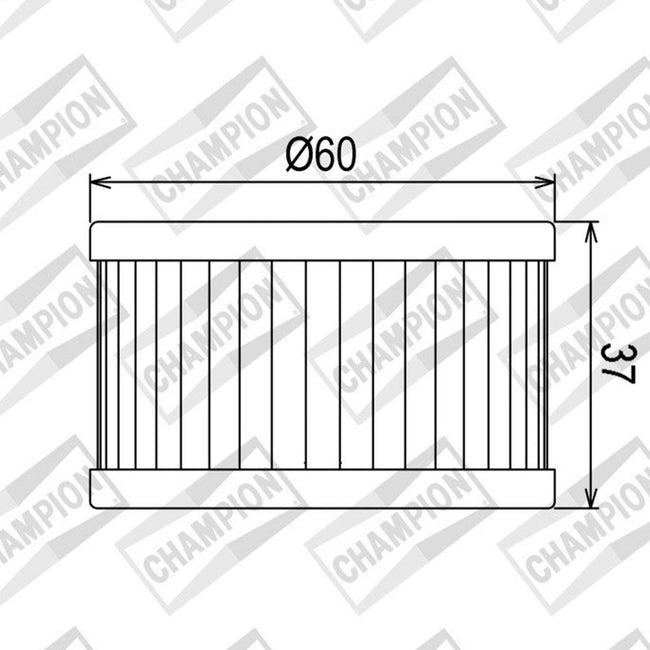 CHAMPION OIL FILTER ELEMENT - COF037 (137) Main Image