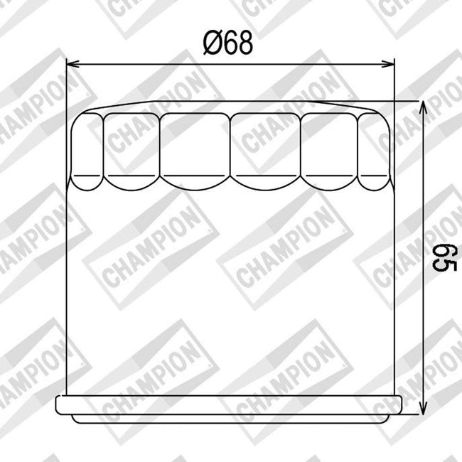 CHAMPION OIL FILTER ELEMENT - COF038 (138) Main Image