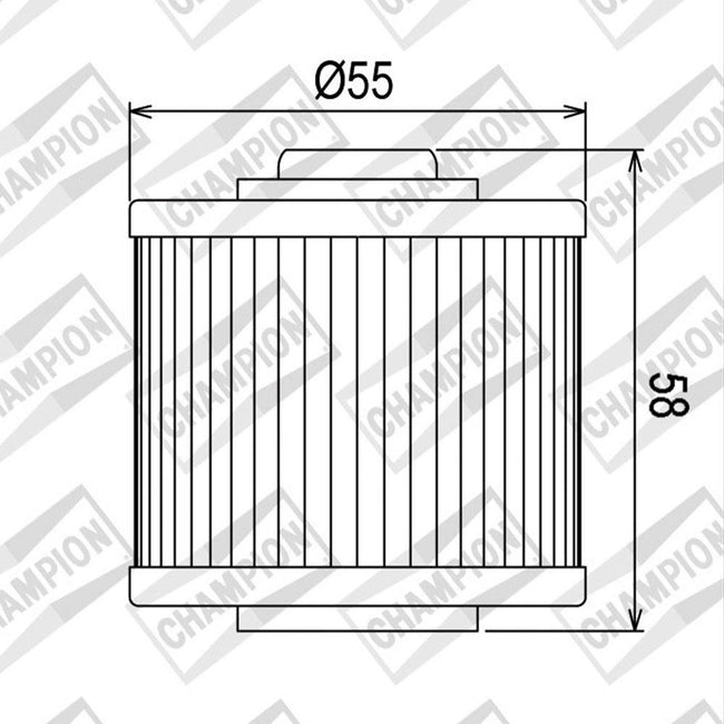 CHAMPION OIL FILTER ELEMENT - COF045 (145) Main Image