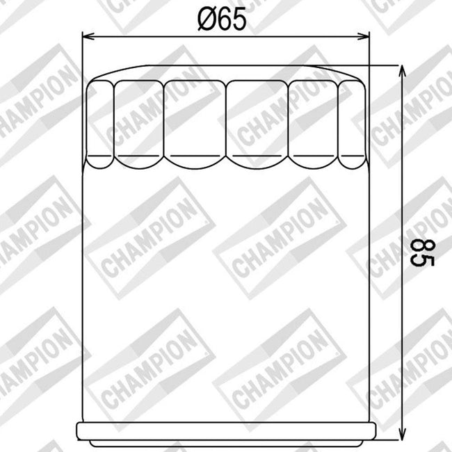 CHAMPION OIL FILTER ELEMENT - COF048 (148) Main Image