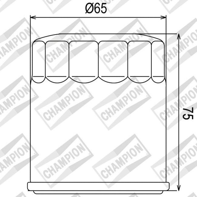CHAMPION OIL FILTER ELEMENT - COF056 (156) Main Image