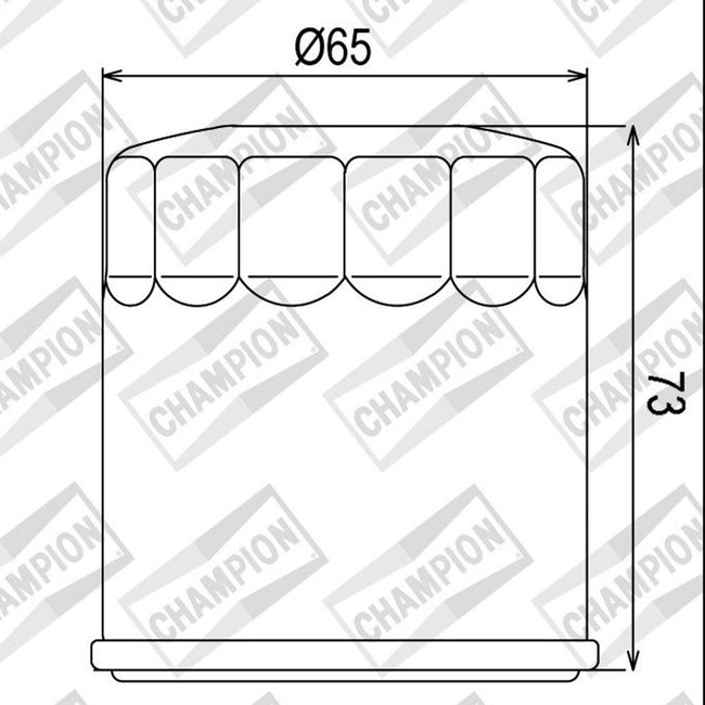 CHAMPION OIL FILTER ELEMENT - COF077 (177) Main Image
