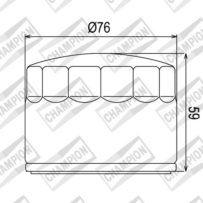CHAMPION OIL FILTER ELEMENT - COF452 (552) Main Image