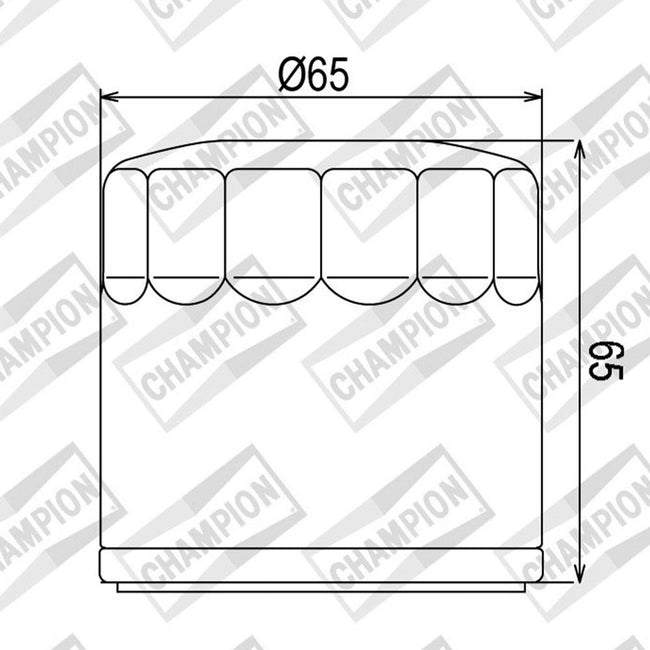 CHAMPION OIL FILTER ELEMENT - COF453 (553) Main Image