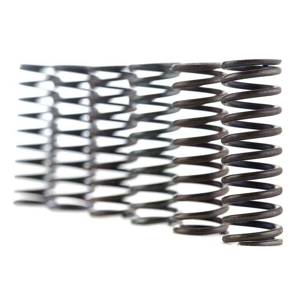 FERODO Clutch Spring Kit of 6 Springs : FSS0522 [XSP]