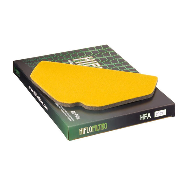 HIFLOFILTRO  Air Filter Element  HFA2909 Hover Image