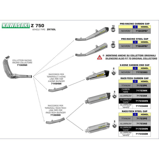 ARROW 71723MK Silencer - RACE-TECH Carbon with Carbon End Cap Hover Image