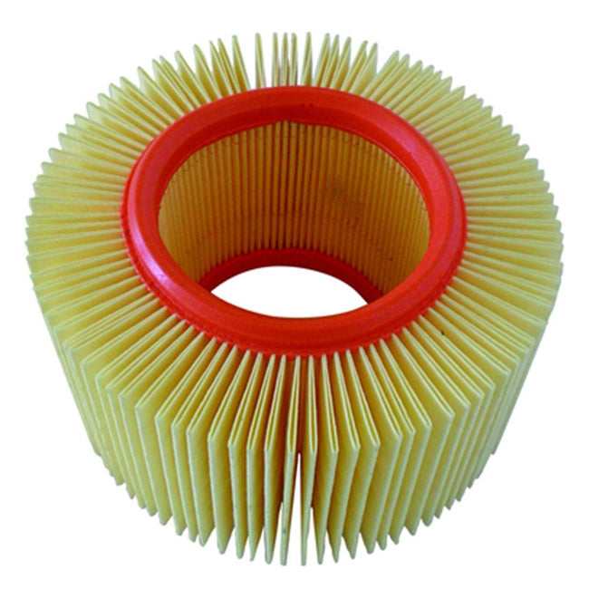 CHAMPION AIR FILTER CAF6910 - BMW Hover Image