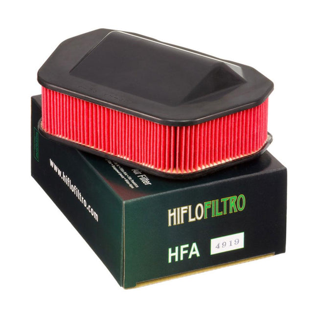 HIFLOFILTRO  Air Filter Element  HFA4919 Hover Image