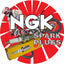 NGK Spark Plug - Single - B105EGV - Superceded By BR10EIX
