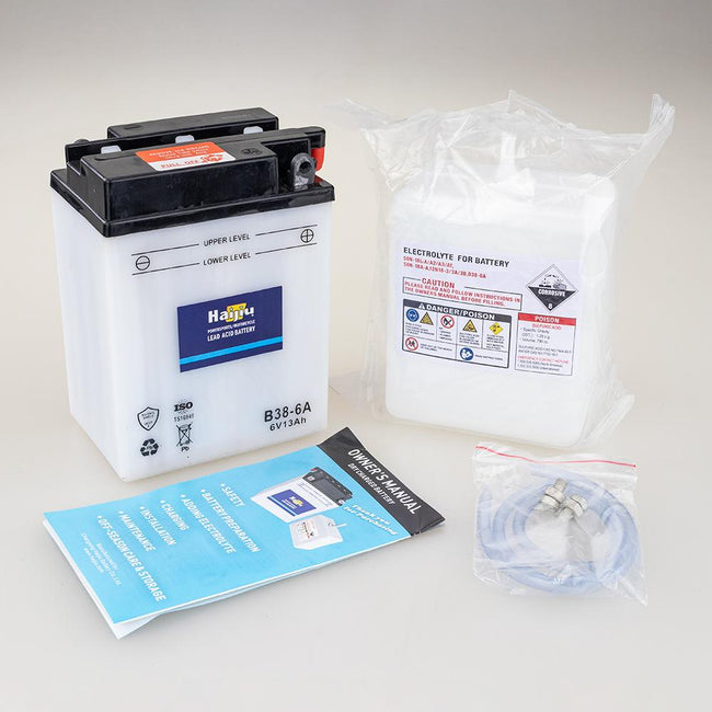 ROADSTAR B38-6A BATTERY 6V Flood Cell 13Ah Main Image