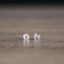 AGV PINS FOR PINLOCK® LENS K3 SV / K5 S / K1 / COMPACT ST