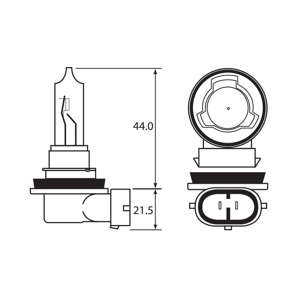 BULB - HALOGEN 12V 65W - H9 - PGJ19-5