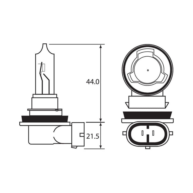 BULB - HALOGEN 12V 65W - H9 - PGJ19-5 Hover Image