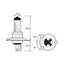 BULB - HALOGEN 12V 100/90W - H4 - P43T-38