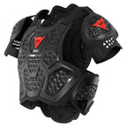 Dainese Armour
