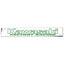 STICKER RACING D/CUT - KAWASAKI, GREEN 930 X 110