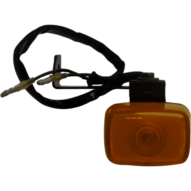 IY24Q - RZR FZR INDICATOR Hover Image