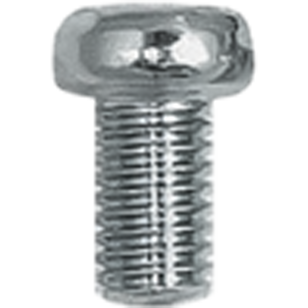 PS610 - PAN HEAD SCREWS 6 X 10MM (25/BAG)