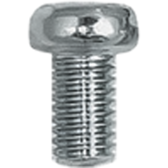 PS610 - PAN HEAD SCREWS 6 X 10MM (25/BAG) Hover Image