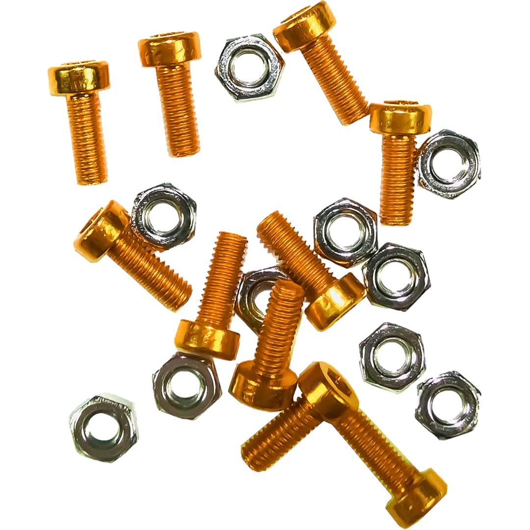 RH1AG - REGO LABEL HOLDER SCREW KIT GOLD