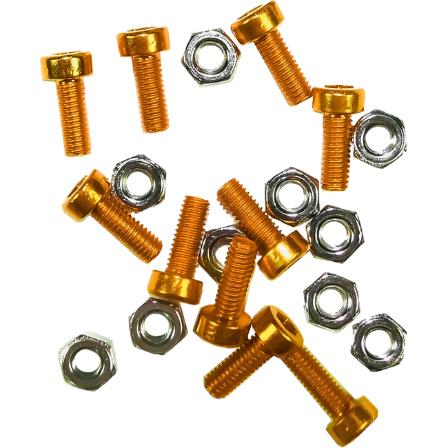 RH1AG - REGO LABEL HOLDER SCREW KIT GOLD Hover Image
